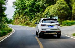 恒运与恒潽 新乡恒运科贸旗下的汽车服务双星